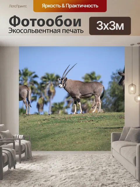Фотообои арабский орикс