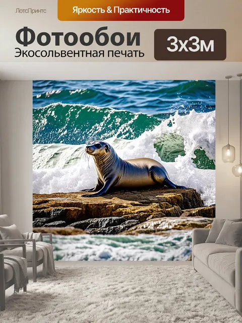 Фотообои на скале, обрывающейся в океан, отдыхает серый тюлень, наслаждаясь солнечными лучами