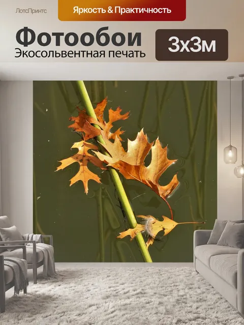 Фотообои Плавающие дубовые листья и перо