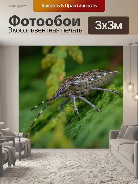 Фотообои Ошибка