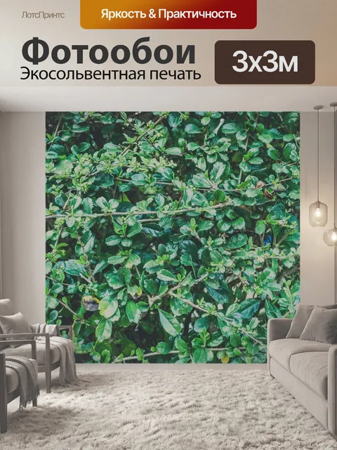 Фотообои Ландшафтный сад, лесной стиль