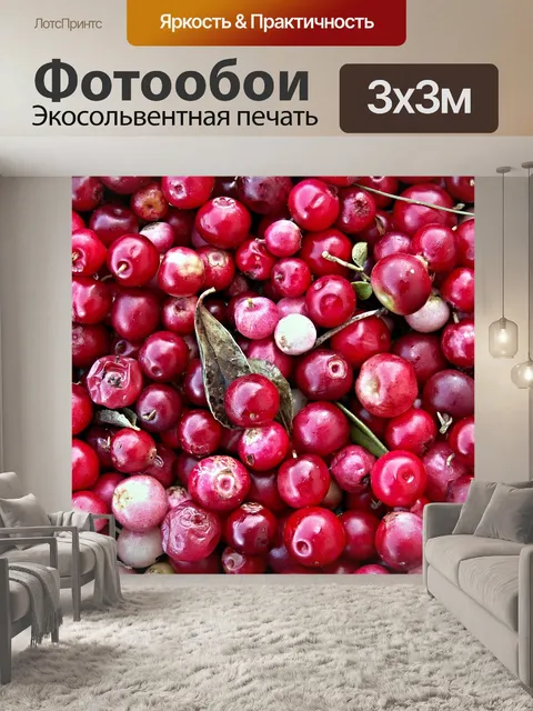 Фотообои Клюква