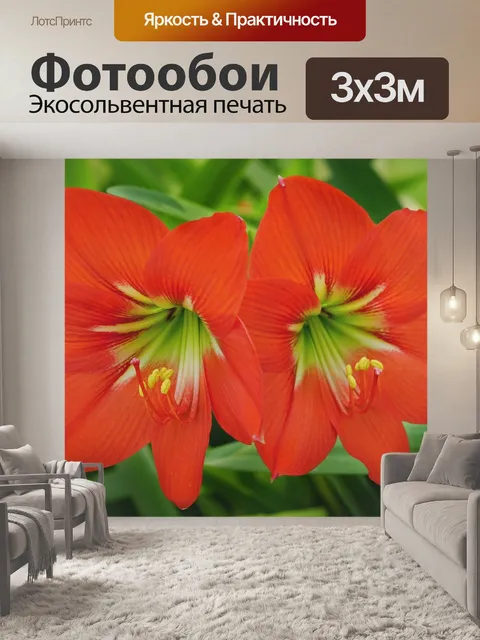 Фотообои Пара