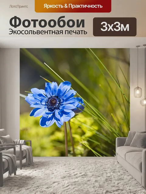 Фотообои Анемон
