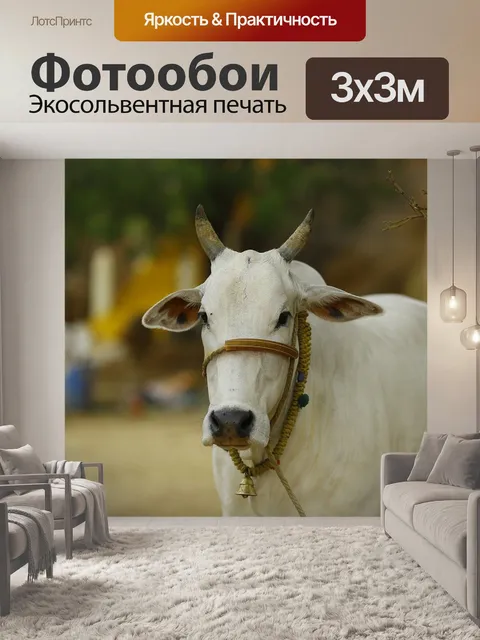 Фотообои Индийская корова