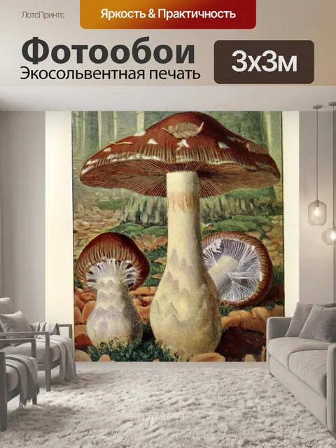 Фотообои Грибы век винтаж старый