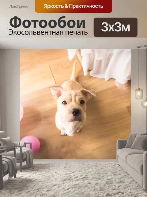 Фотообои Собака