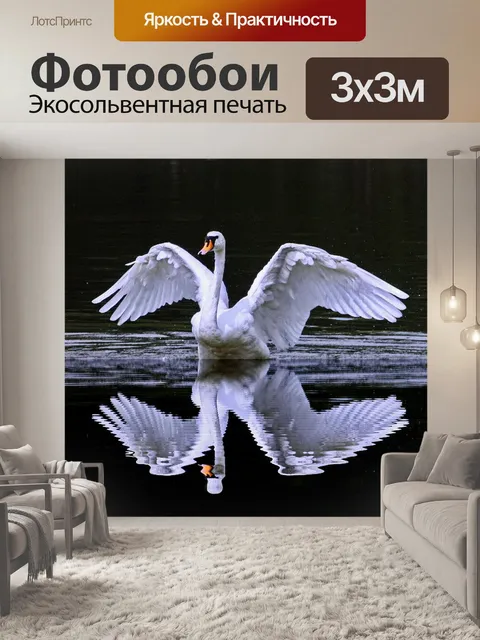 Фотообои Лебедь удара