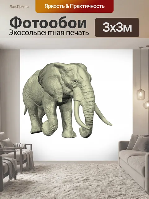 Фотообои Африканский слон