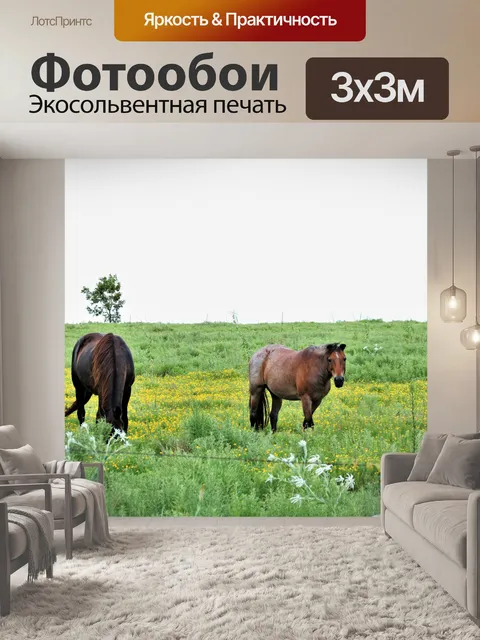 Фотообои Две лошади в поле полевых цветов