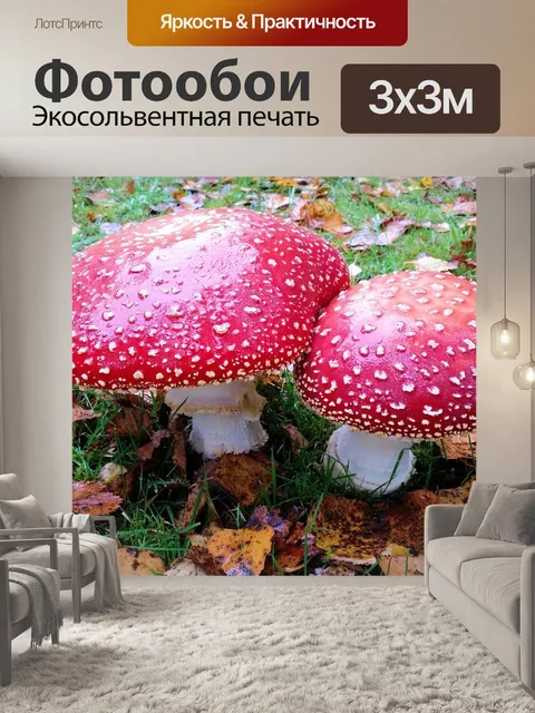 Фотообои Осень