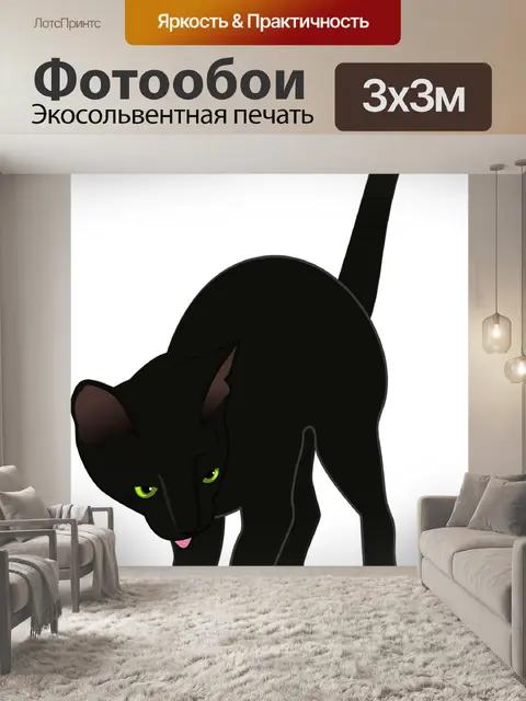 Фотообои Кошка