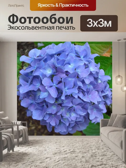Фотообои Гортензия