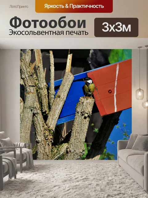 Фотообои Синица