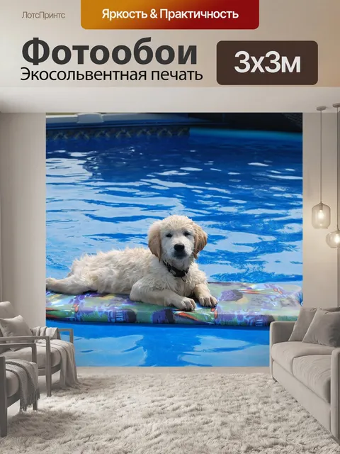 Фотообои Собака
