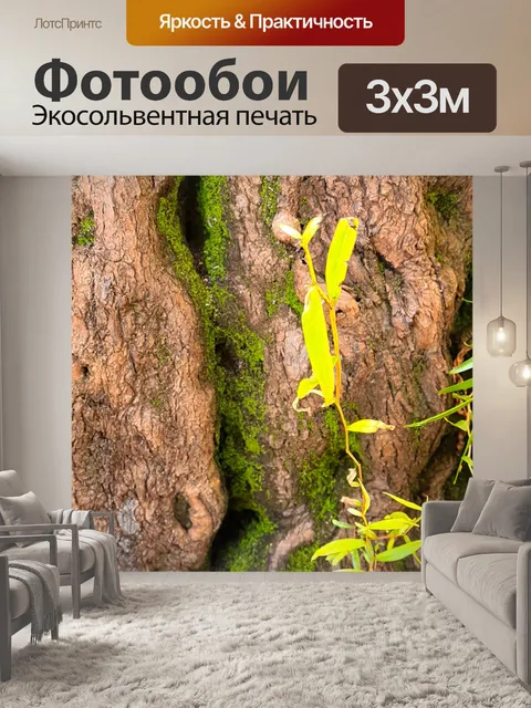 Фотообои Древнее дерево из железной коры 2