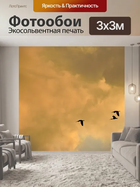 Фотообои Цапли Полет над на закате