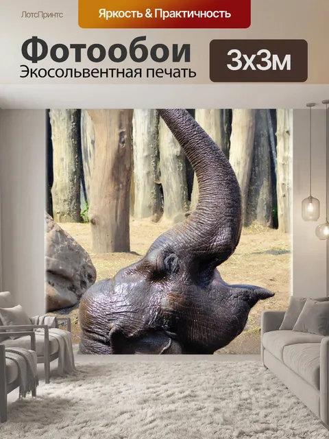 Фотообои В ванне со слонами 19