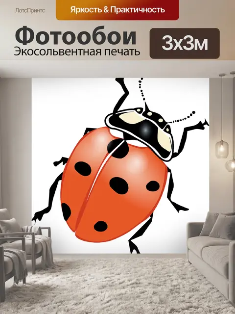 Фотообои Божья коровка