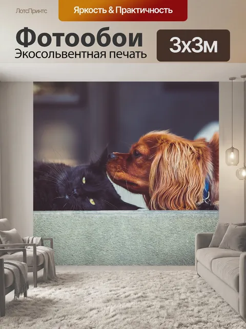 Фотообои Кошка