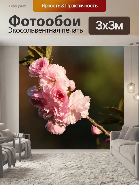 Фотообои Кванзан вишни в цвету
