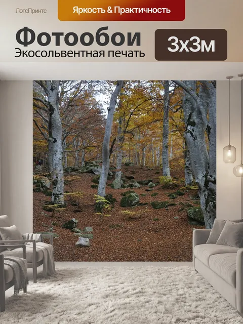 Фотообои Осень