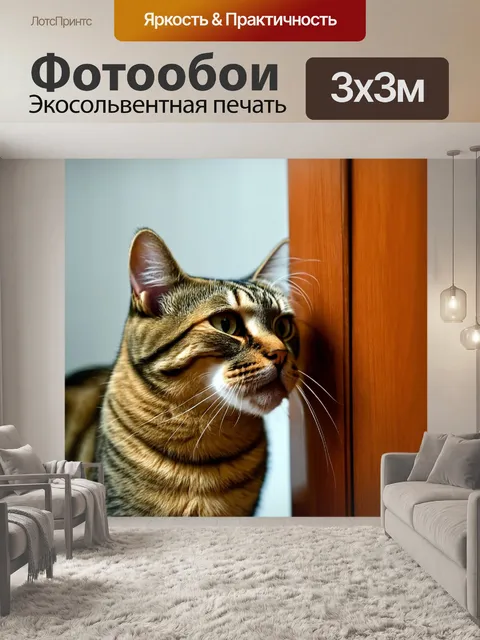 Фотообои кот, внимательно слушающий шум из-за двери