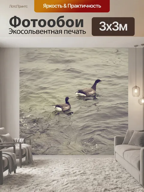 Фотообои Два диких гусей