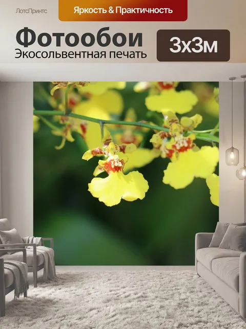 Фотообои Цветок