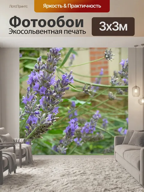 Фотообои Фиолетовый