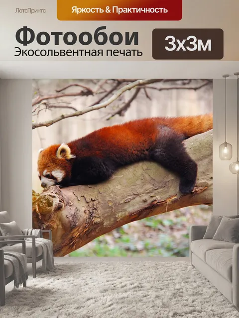 Фотообои Милый