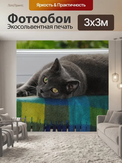 Фотообои Похмелье