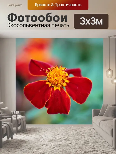 Фотообои Бархатцы раскидистый линнея