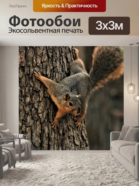 Фотообои Фокс Белка на дереве крупным планом