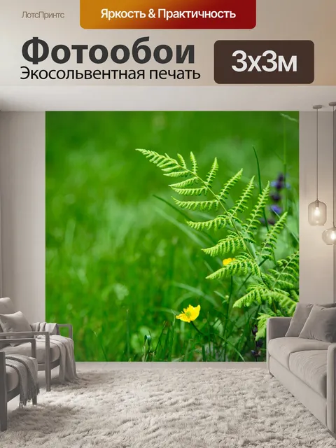 Фотообои папоротник