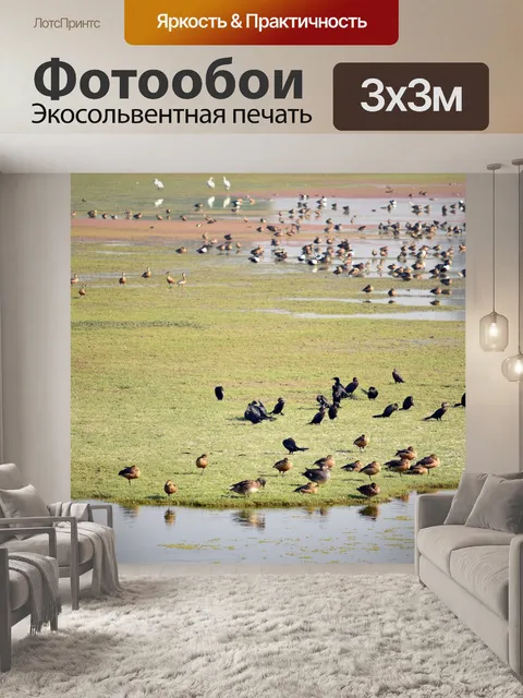 Фотообои Сбор птиц