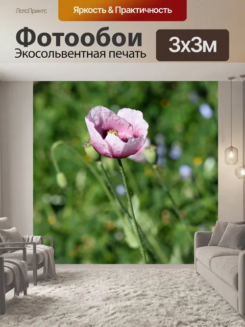 Фотообои Весенний цветок цветет