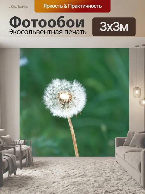 Фотообои Цветок одуванчика