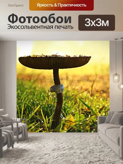 Фотообои Падение
