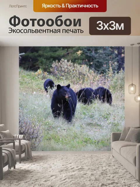 Фотообои Бурый медведь
