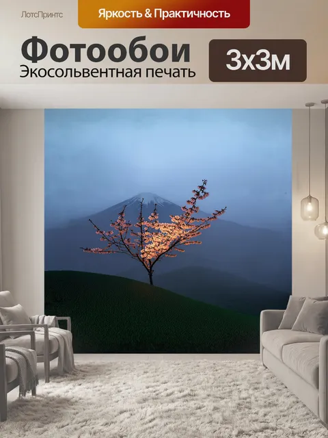 Фотообои одинокая сакура на фоне окутанного туманом холма, её цветы будто светятся в полумраке раннего утра