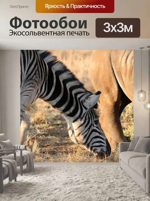 Фотообои зебра Берчелла