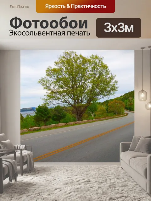 Фотообои Сельская дорога