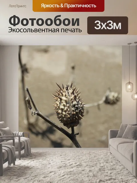 Фотообои Завод