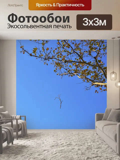 Фотообои Осень