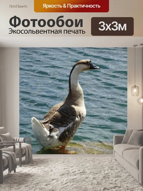 Фотообои Гусь