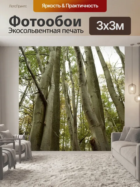 Фотообои Деревья