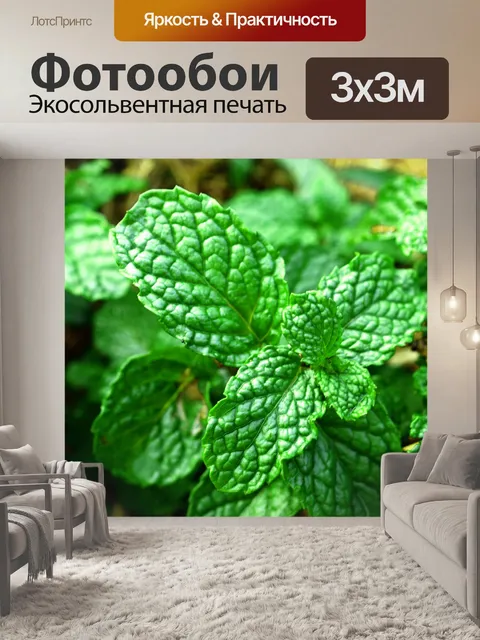 Фотообои Свежие листья мяты