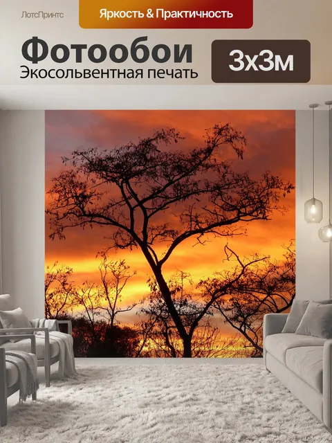 Фотообои Деревья