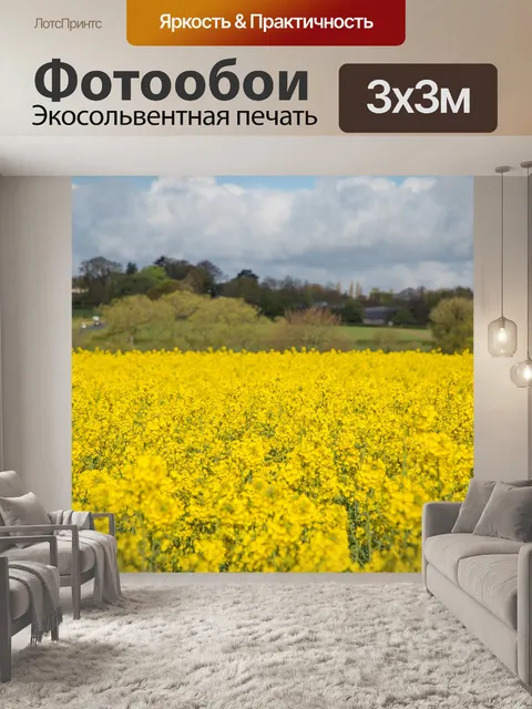 Фотообои Область желтого рапса